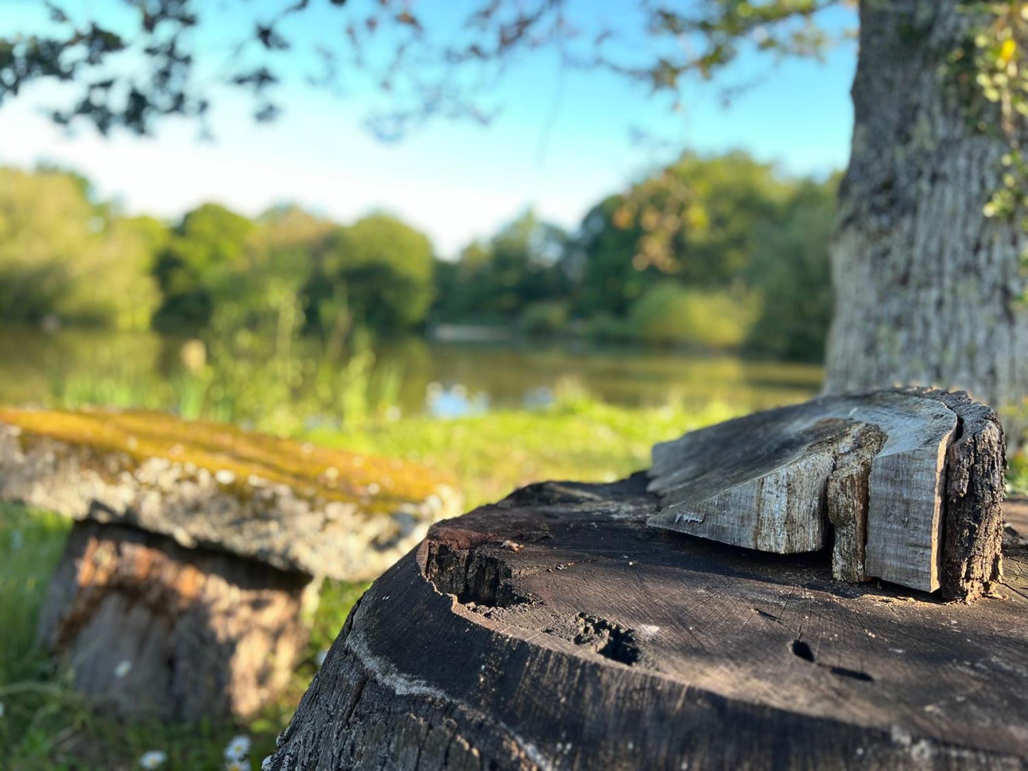Le Domaine De La Vergnolle Roches  Eksteriør bilde