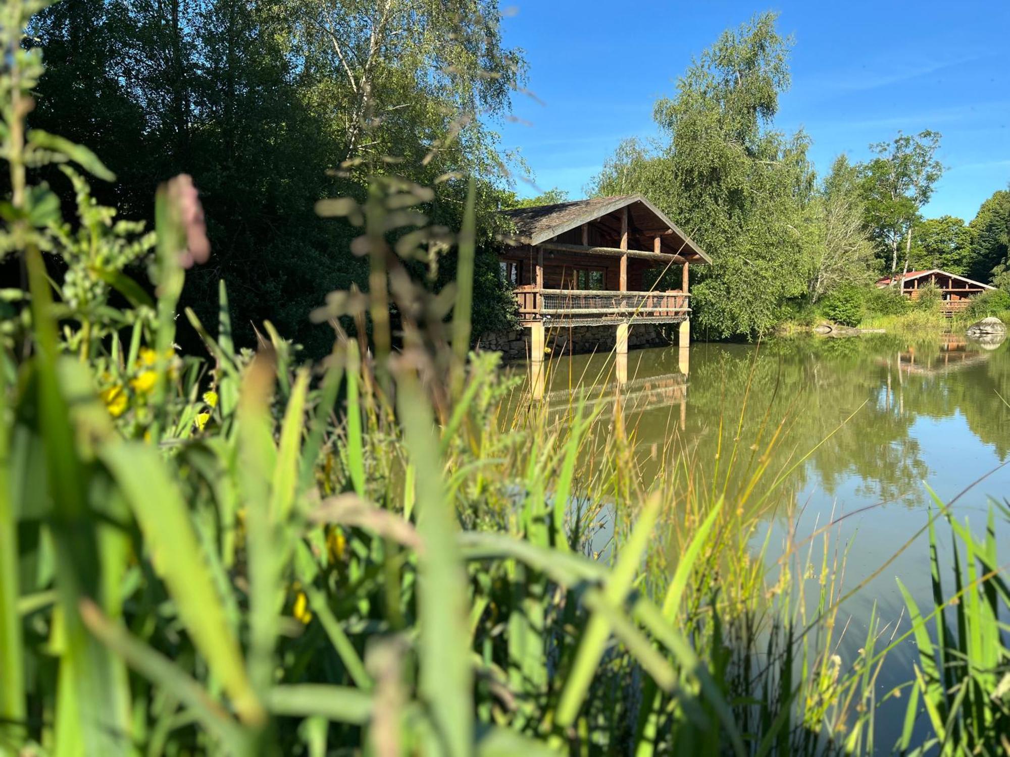 Le Domaine De La Vergnolle Roches  Eksteriør bilde